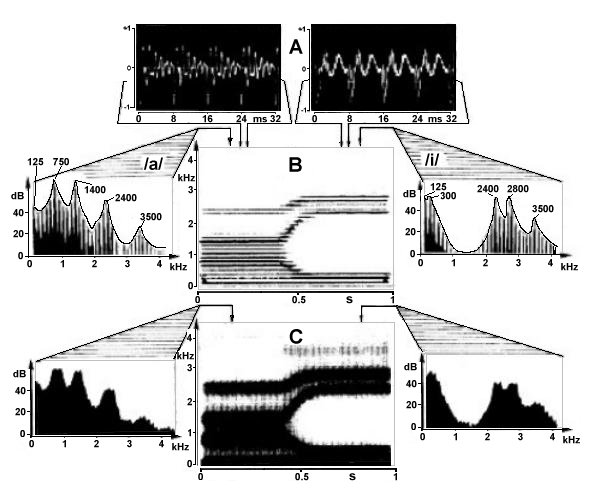 FoneticaAcustica(Fig23).jpg (51360 bytes)